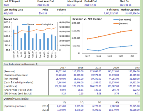 Company_Snapshot2021